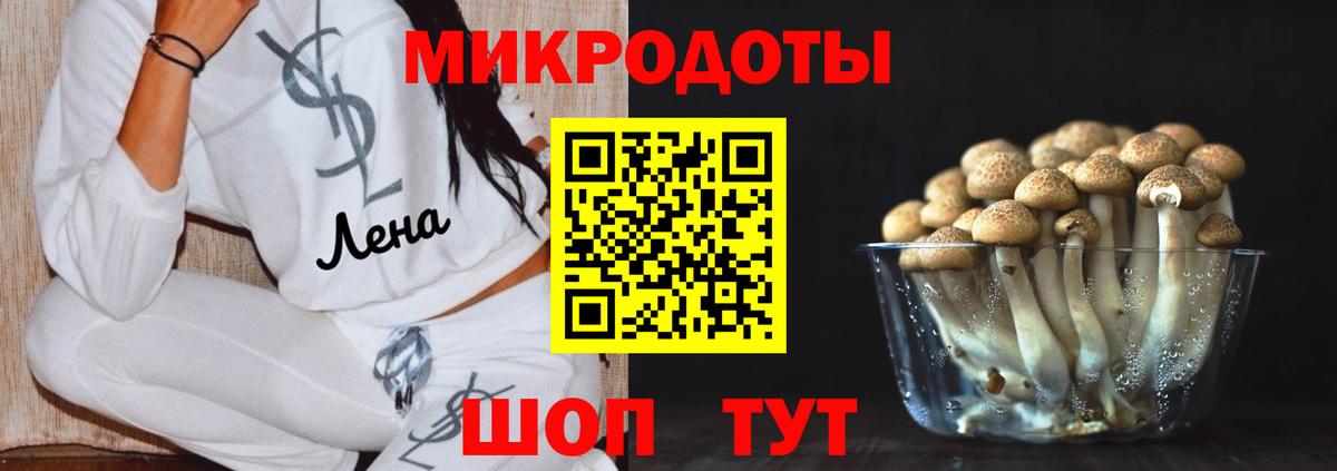 Псилоцибиновые грибы мицелий Чапаевск
